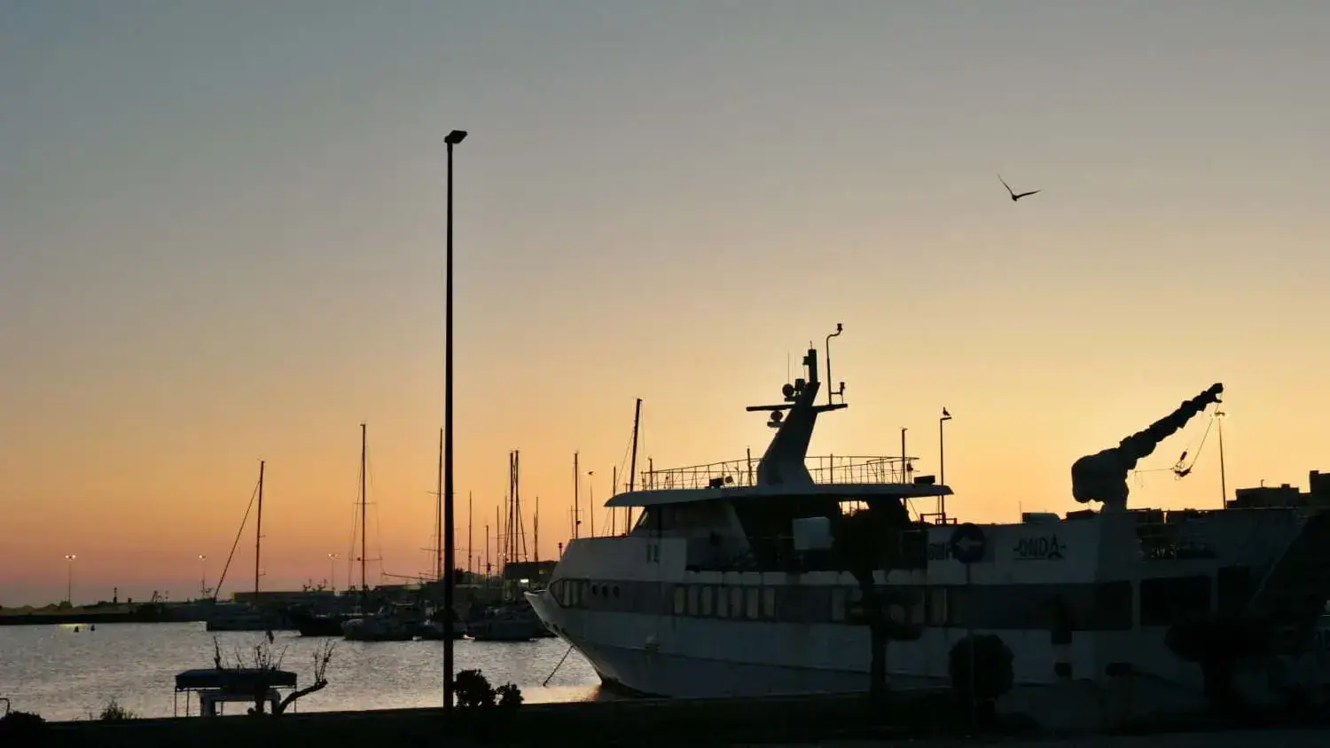 Vanlife - sites naturels - beaux sites