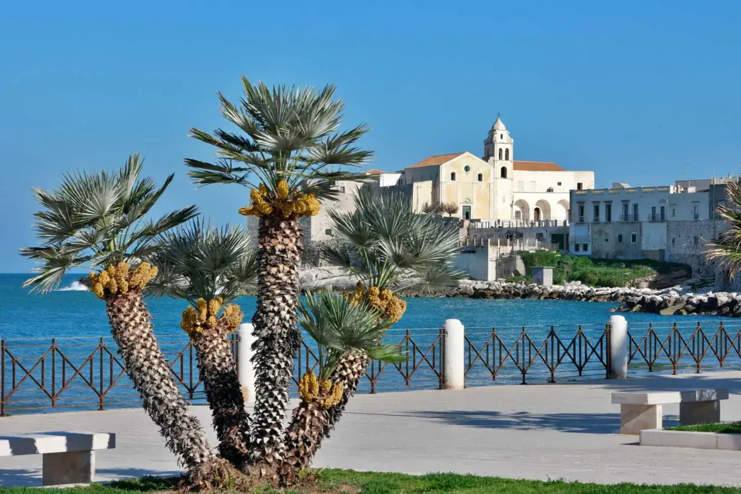 Vieste - Vanlife - Photo - villages - paysages - monuments - Europe - Accueil